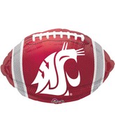 17" Washinton State University Balloon Collegiate