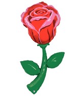 5 Foot (two pre-attached balloons) Fresh Picks Red Rose