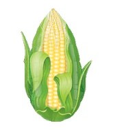 18" Super Shape Corn Mylar Balloon